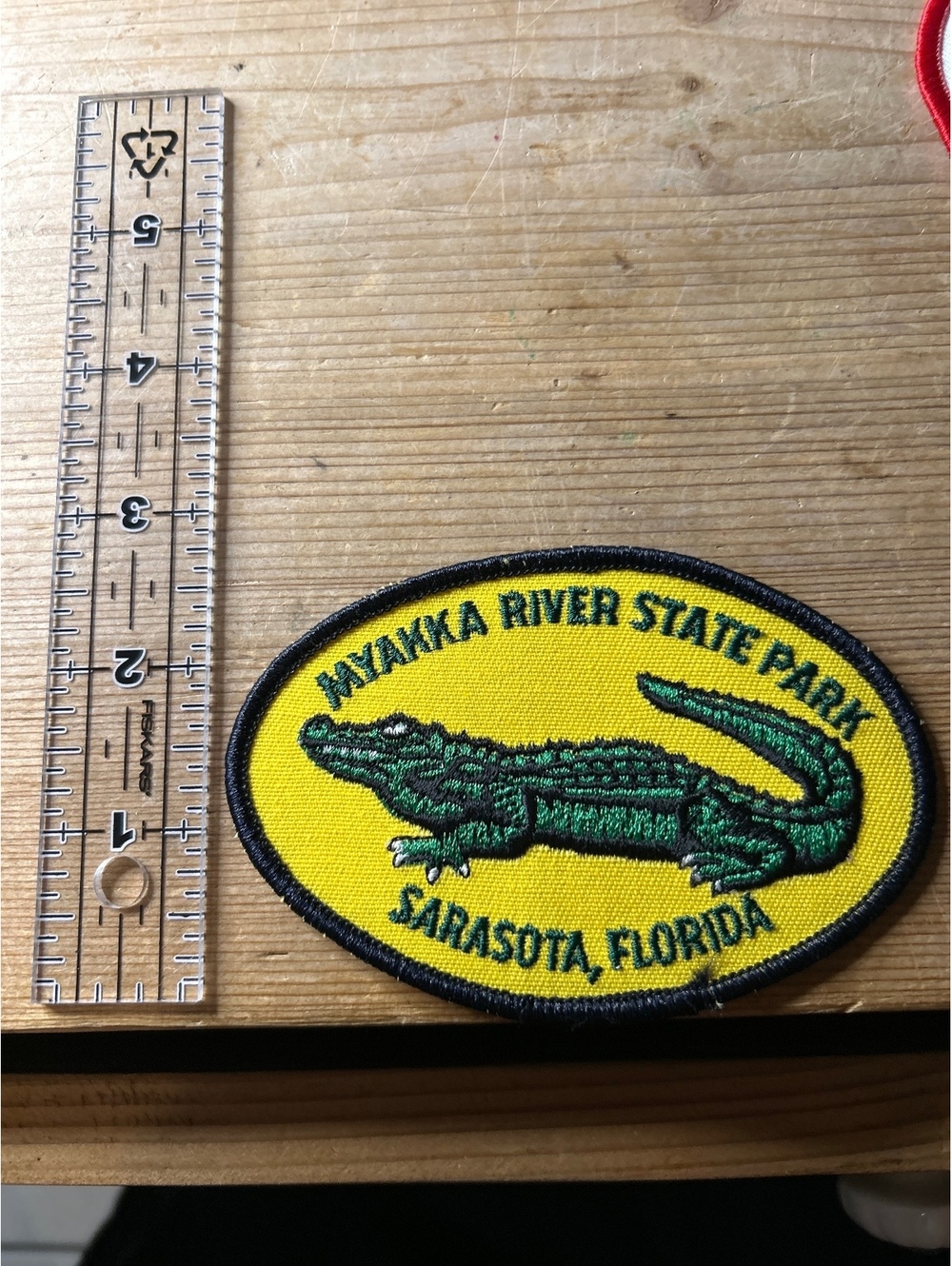 Wakika River State Park Sarasota Florida Alligator Patch